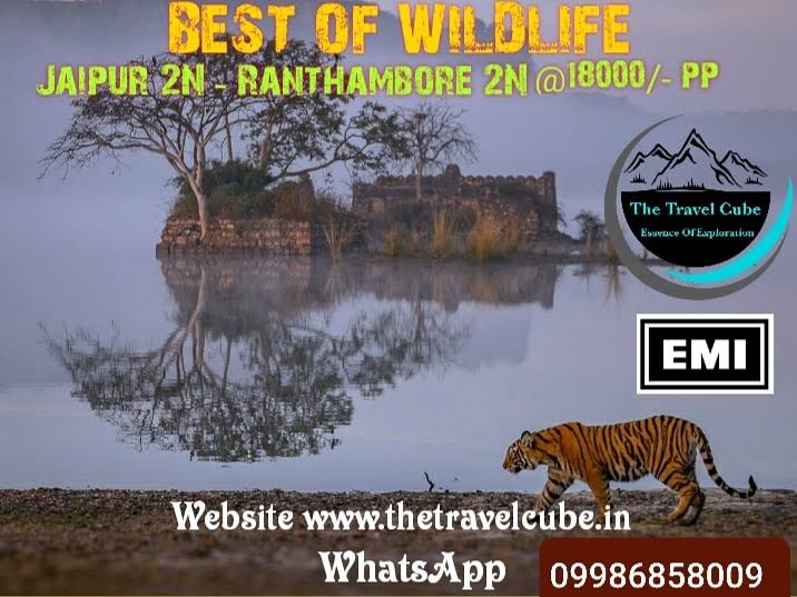 Jaipur Ranthambore package product image