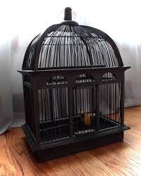 Hanging Bird Cage Decor Ideas Pin By Cheryl Schwandt On Birdcage Decor Bird Cage Decor Antique Bird Cages Bird Cage Design