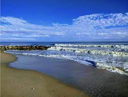 Frequently asked questions about edisto beach state park campground. Edisto Island State Park South Carolina Lowcountry