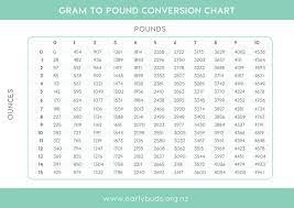 Weight Converter Chart Kg To Pounds Weight Converter Stones