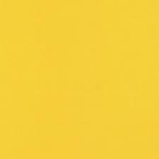 Image result for Canary Yellow 1972 Hussmann