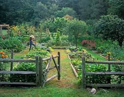 Ah If Only My Husband S Commercial Plot Looked Like This He Had Some Crazy Theory That Weeds Would Distract Dream Garden Perfect Garden Backyard Landscaping