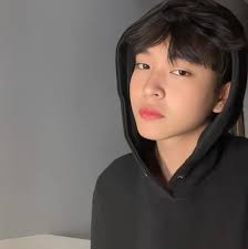 Rabin Angeles Picture Swipe