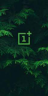 Oneplus Oneplus Wallpapers Camera Wallpaper Dark Phone Wallpapers