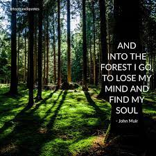 Maybe you would like to learn more about one of these? And Into The Forest I Go To Lose My Mind And Find My Soul John Muir Into The Woods Quotes Forest Quotes John Muir Quotes