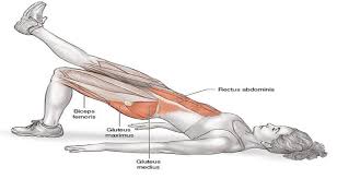 Te decimos las cosas que debes cambiar de tu rutina para que todo funcione a la perfección. Gluteos Explosivos 3 Ejercicios Para Tonificar Y Sacar Pompa Desde Casa Y Sin Ningun Material Marathon Ranking