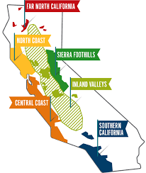 Discover the best of california. Discover California Discover California Wines