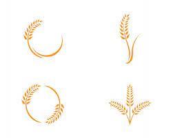 You can download in.ai,.eps,.cdr,.svg,.png formats. Free Wheat Vectors 8 000 Images In Ai Eps Format
