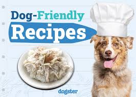 5 Easy Dog-Friendly Recipes You Can Try at Home