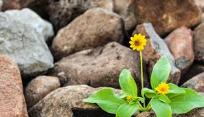 Jika memiliki posisi pemimpin dalam tim dan anggota tim melakukan kesalahan, anda harus melangkah dan mengambil tanggung jawab atas tindakan mereka. Ini 10 Sikap Suami Durhaka Pada Istri Islampos