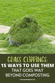 Grass Clippings 15 Ways To Use Them That Goes Way Beyond Composting Grass Clippings Garden Mulch Organic Gardening Tips