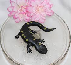 Fondant Salamander Cake Topper Salamander Topper Fondant Etsy Lizard Cake Fondant Cake Toppers