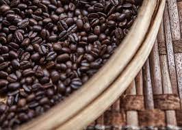 › pooped out coffee beans. Civet Coffee All About Kopi Luwak Coffee And The Cat That Poops It Out Enjoyjava