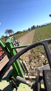 Video di Mario DAmbrosio850 (@mariodambrosio850) con som original - MR. VIXO 🇧🇷 | TikTok