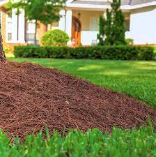 Swift straw baled pine straw is here to help enhance the looks of your lawn. Pine Straw Jacksonville Fl Bulk Delivery