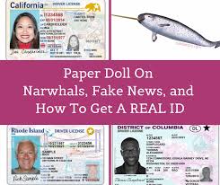 So what do you need to apply? Paper Doll On Narwhals Fake News And How To Get A Real Id Best Results Organizing