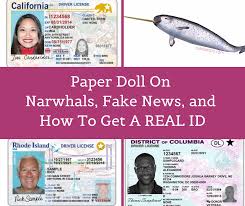 A sample of a california real id is seen in a photo from the dmv's website. Paper Doll On Narwhals Fake News And How To Get A Real Id Best Results Organizing