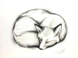 Cute animals collection, baby animals, animals vector. 48 Various Animal Pencil Drawing Ideas Pencil Drawings Of Animals Fox Sketch Animal Drawings Sketches