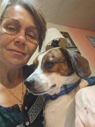 Sparky the Dog's Adoption Journey