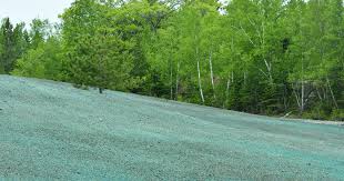 To make a hydroseed mixture, combine wood mulch or cellulose fiber and a tackifier with fertilizer and grass seed, and spread the mixture onto the lawn. Hydroseeding Pros And Cons What To Know Before You Blow Seed