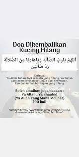In Shaa Allah Reminder Quotes Allah Quotes