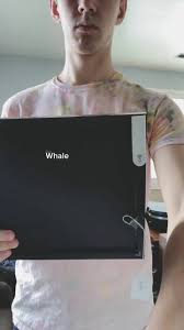 Whale whale, wall worthy? #whale #art #fyp