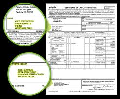 Wichita Tree Trimming Tree Removal Abe S Tree Service