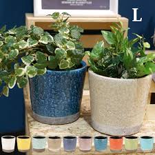 楽天市場 color glazed pot カラーグレーズドポット lサイズ 植木鉢 dulton ダルトン 全10色 家具 インテリア 雑貨 ビカーサ 植木鉢 ダルトン インテリア 家具