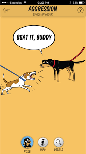 What Does It Mean When My Dogs Hair Stands Up Dog Hair Dogs Aggressive Dog