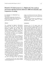 Image result for Macrotyloma daltonii