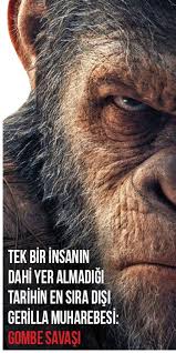 Tek Bir Insanin Dahi Yer Almadigi Tarihin En Sira Disi Gerilla Muharebesi Gombe Savasi Hayvan Tarih Savas