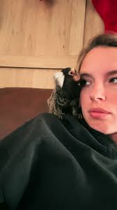 Our morning routine. #meekothemarmoset #monkey #petmonkey #tinymonkey