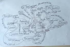 Cells Bc Physics 180