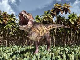 Maybe you would like to learn more about one of these? Dinosaur T Rex Facts Of Tyrannosaurus Rex Dinosaurs