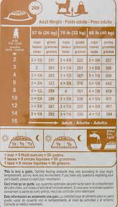 lab puppy feeding chart goldenacresdogs com