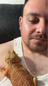 She laid 23 eggs yesterday and she's been