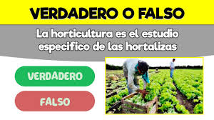 La lógica difusa (fuzzy logic, en inglés) permite tomar decisiones más o menos intensas en función de grados intermedios de cumplimiento de una premisa; 25 Preguntas De Verdadero O Falso Reta A Tus Amigos 3 Youtube