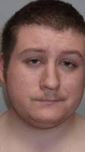 'Too far down the deep end': Politics pushed Tennessee man to plot Musk  facility attack