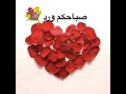 عن وردة وفل / عن وردة وفل / صور ورد جوري , اجمل الصور للزهرة الدمشقية.الياسمين زهرة صغيرة رقيقة، ومعروفة في جميع أنحاء العالم برائحتها الفريدة ومنظرها الجميل، وعادةً ما تكون زهرة الياسمين بيضاء. ØµØ¨Ø§Ø­ÙƒÙ… ÙˆØ±Ø¯ ÙˆÙÙ„ ÙˆÙŠØ§Ø³Ù…ÙŠÙ† Youtube