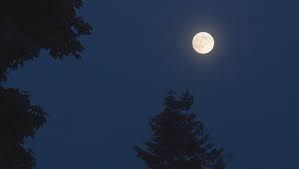 Romantic full moon pictures hd. Moon Evening Evening Sky Romantic Night Nature Moonlight Astronomy Sky Full Moon Pxfuel