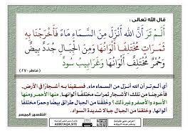 ألم تر أن الله أنزل من السماء ماء موقع البطاقة الدعوي