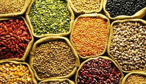 Seed banks store seeds at low temperatures and low humidity. Atmanirbhar Bharat Abhiyan Now Farmers Will Be Owners Of Seed Banks Government To Provide License Training