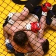 100+ "Jovich" profiles