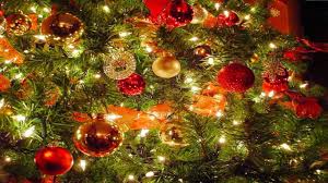Maybe you would like to learn more about one of these? 7 Christmas Tree Wallpaper Ideas Christmas Tree Wallpaper Christmas Wallpaper Beautiful Christmas