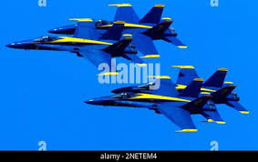 Image result for Blue 2009 Fleet