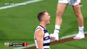 Richmond 12.9 (81) defeated geelong 7.8 (50) * grand final played at the gabba: Afl Finals Live Scores Geelong Vs Collingwood Kick Off Time Results News For The 2020 Finals