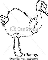 Bird Cartoon Pictures Black And White Nandu Ostrich Cartoon Coloring Page Black And White Cartoon Cartoon Coloring Pages Black And White Cartoon Ostrich