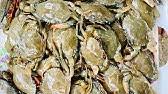 Bagi anda yang ingin tahu ataupun tidak sabar ingin melihat, anda dapat melanjutkan membaca dibawah ini. Resepi Ketam Kulit Lembut Goreng Tepung Fried Soft Shell Crab Cara Masak Ketam Kulit Lembut Youtube