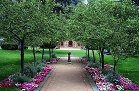 Shakespeare Garden San Francisco 1 Golden Gate Park San Francisco Pretty Gardens Garden Steps