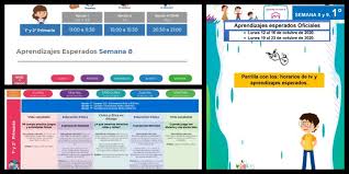 Aprendizajes Esperados Semana 8 Y 9 Para 1º 2º Y 3º De Primaria Imagenes Educativas